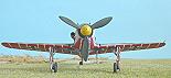 Focke Wulf Fw 190 D-9 Papagei