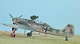 click here to get the full-size Focke Wulf Fw 190 D-9 Papagei