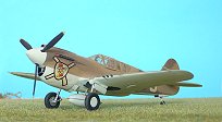 Cu P-40 E Kittyhawk