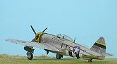 click here to get the full-size P-47 D Thunderbolt