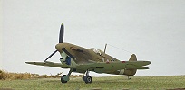 Spitfire Mk V USAF